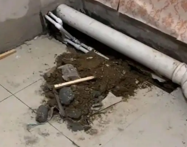 陈仓卫生间漏水检测哪家好